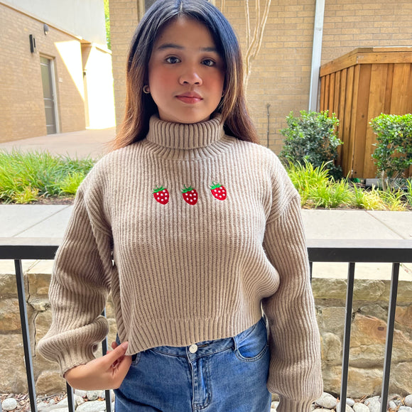 Embroidered Strawberry Knit Crop Sweater